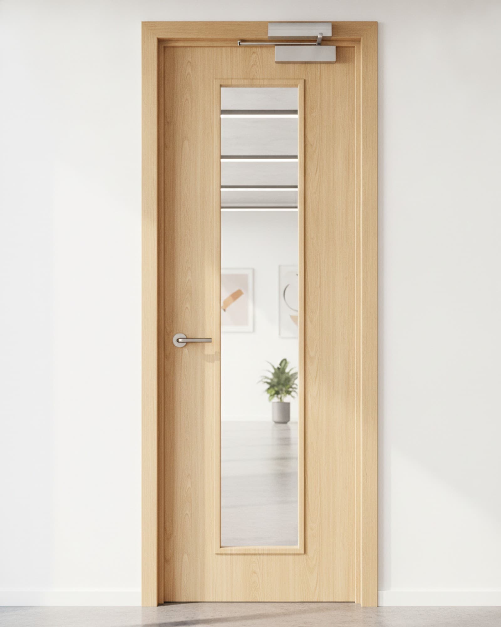 Glazed Fire Door