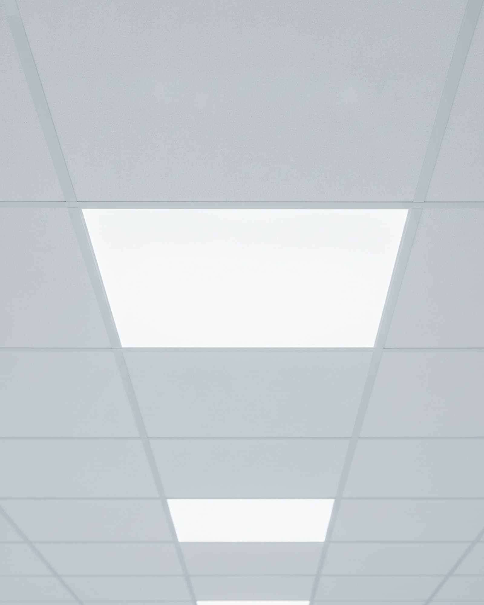 LED Panel Light